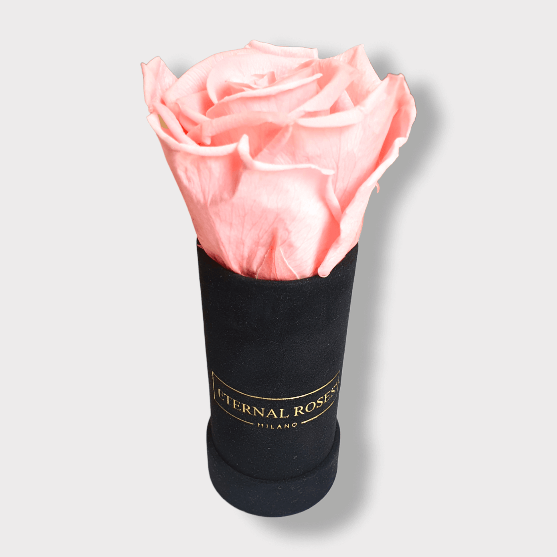 Rosa Eterna Stabilizzata Rosa XL - Box Alcantara Nero XS – Eternal Roses  Milano